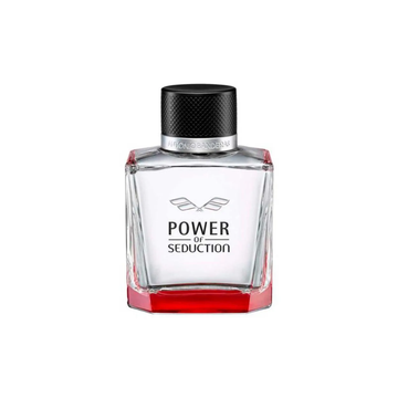 Power of Seduction Perfume Masculino Eau de Toilette