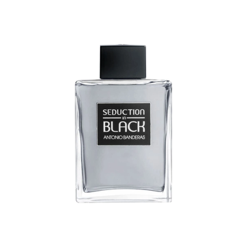 Seduction In Black Masculino Eau de Toilette