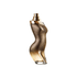 Shakira Dance Midnight Feminino Eau de Toilette - Sieno