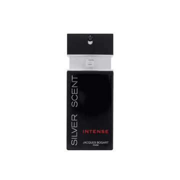 Silver Scent Intense Masculino Eau de Toilette - Sieno