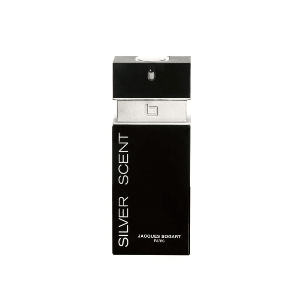 Silver Scent Masculino Eau de Toilette - Sieno